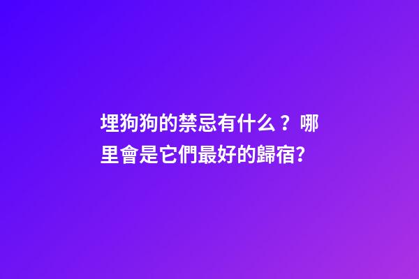 埋狗狗的禁忌有什么？哪里會是它們最好的歸宿？